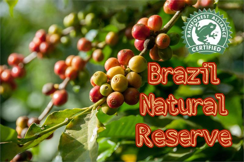 Brazil Natural Reserve Single Origin Coffee Talk N' Coffee