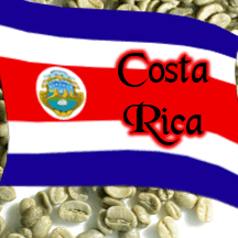 Green Costa Rica Tarrazu Coffee Unroasted Talk N' Coffee