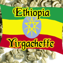 Green Ethiopian Yirgcheffe Coffee Unroasted Talk N' Coffee