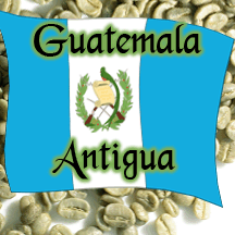 Green Guatemala Antigua Coffee Unroasted Talk N' Coffee