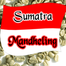 Green Sumatra Mandheling Coffee Unroasted Talk N' Coffee