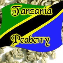 Green Tanzania Peaberry Coffee Unroasted Talk N' Coffee