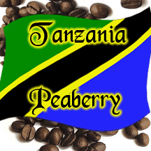 Tanzania Peaberry Single Origin Coffee Beans Talk N' Coffee